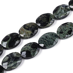 Натуральные пряди камбабы из яшмы&nbsp;G-S354-13x18-A03