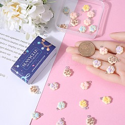 30 шт. подвески в виде отпечатков лап из непрозрачной смолы двух цветов&nbsp;CRES-SC0002-69