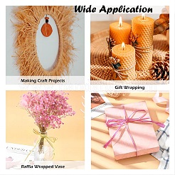 Лента из рафии&nbsp;OCOR-I012-A17