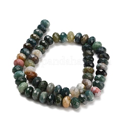 Природного индийского агата бисер нитей&nbsp;G-C259-A02-6x10mm