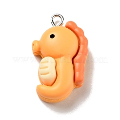 Подвески из непрозрачной смолы&nbsp;RESI-G043-E03