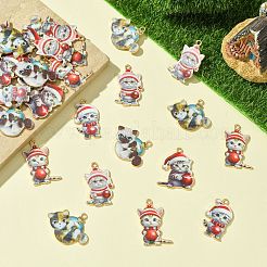 30 шт.&nbsp;FIND-CJ0002-62