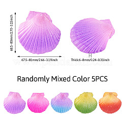 5 шт. подвески из натуральной ракушки морского гребешка&nbsp;SSHEL-TA0001-24
