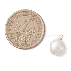 Плоские круглые подвески из натурального нуклеированного жемчуга Кеши&nbsp;PALLOY-JF04781