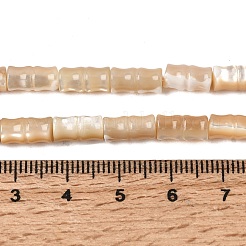 Нити бусин из натуральных трохоидных/трохус ракушек&nbsp;SHEL-A006-06B