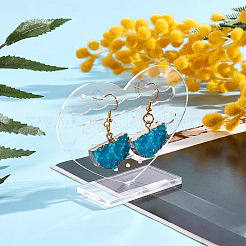 Акриловая рамка дисплея серьги&nbsp;EDIS-WH0006-10