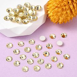 Preciosa® maxima crystal без горячей фиксации плоские камни&nbsp;Y-PRC-NSS8-80100