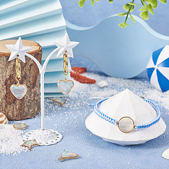 12шт 6 стиля подвески из натуральных ракушек&nbsp;BSHE-TA0002-06