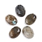 Natural Labradorite Cabochons, Oval, Faceted, 14~14.5x10x4.5mm