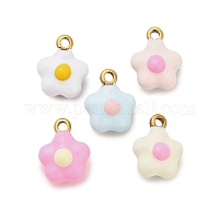 Подвески из нержавеющей стали 304 с эмалью&nbsp;STAS-P417-02G