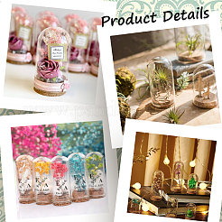 Крышка стеклянного купола 10 шт.&nbsp;AJEW-SC0001-55C