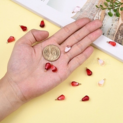 15шт 3 цвета подвески из смолы&nbsp;RESI-CJ0001-129