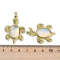 Подвески из опалита и латуни&nbsp;KK-F887-01G-03