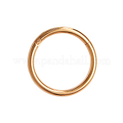 Серьги-кольца для хряща из хирургической нержавеющей стали 316L&nbsp;WGB51CA-08