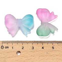 Матовые прозрачные акриловые бусины&nbsp;OACR-D315-04