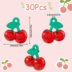 30 шт. подвески в виде фруктов из смолы&nbsp;CRES-SC0002-94