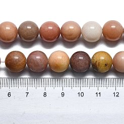 Естественный окаменелого дерева круглые бусины пряди&nbsp;G-D356-C01-10mm