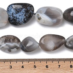 Природные Ботсвана агат бисер нитей&nbsp;G-L650-D03-04