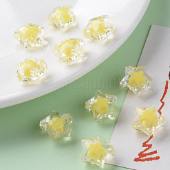 Прозрачные акриловые бусины&nbsp;TACR-S152-02A-SS2105