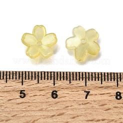 Акриловый шарик крышки&nbsp;OACR-I024-01B