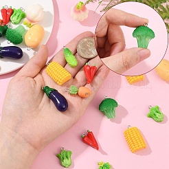 30шт 10 стиля подвески из смолы&nbsp;RESI-YW0004-20