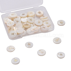 Природные подвески оболочки пресноводных&nbsp;SSHEL-CJ0001-07