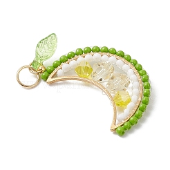 Круглые стеклянные бусины в виде фруктов&nbsp;PALLOY-MZ00864-03