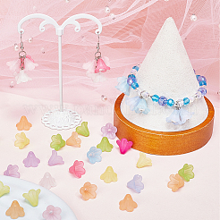 500шт 10 цвета акриловые колпачки для бусин&nbsp;TACR-SP0001-08