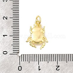 Латунные подвески&nbsp;KK-I364-05P-06