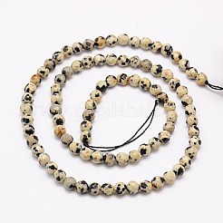 Природные яшмы далматин бисер нитей&nbsp;G-G545-11