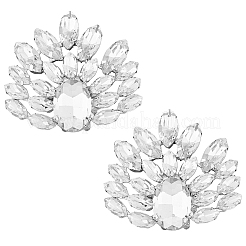 1 пара съемных цветочных украшений для обуви&nbsp;AJEW-HY0001-13