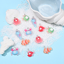 30шт 6 стиля непрозрачные подвески из смолы&nbsp;RESI-YW0003-50