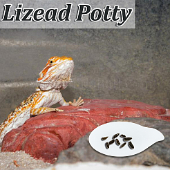 Одноразовая пластиковая тарелка&nbsp;AJEW-WH0314-612B