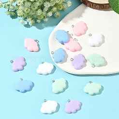 15шт 5 цвета подвески из смолы&nbsp;RESI-YW0005-57