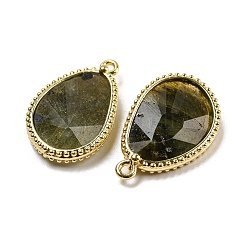 Ограненные подвески из натурального лабрадорита&nbsp;G-M431-14G-05