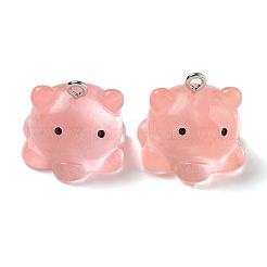 Светящиеся подвески смолы&nbsp;RESI-R452-01G