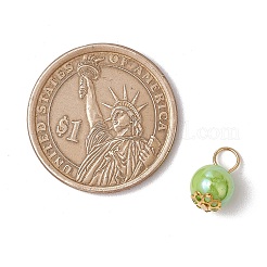 Непрозрачные акриловые подвески&nbsp;PALLOY-JF03537-01