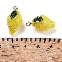 Подвески из смолы цвета ab&nbsp;LS-RESI-C051-02F-P