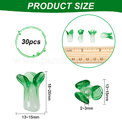 30шт ручной работы бусины лэмпворк&nbsp;LAMP-OC0001-31