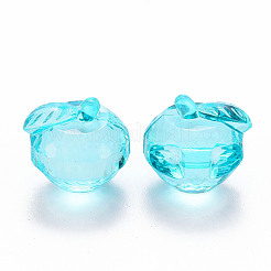 Прозрачные акриловые подвески&nbsp;TACR-T024-05B-946