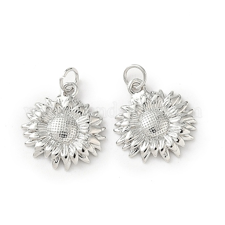 Латунные подвески&nbsp;LS-KK-I381-02P-1