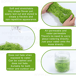 150 г искусственных камней из мха&nbsp;DJEW-SP0001-22B