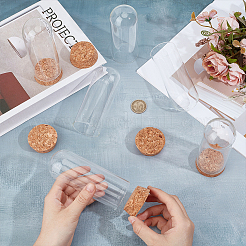 Стеклянный купол 10 шт.&nbsp;AJEW-BC0008-80