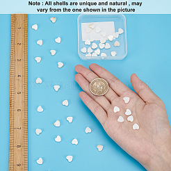 Нити бусин из натуральных пресноводных ракушек&nbsp;SHEL-SC0001-11