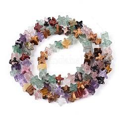 Природных драгоценных камней смешанного бисер нитей&nbsp;G-T143-31