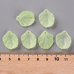 Прозрачные матовые акриловые подвески&nbsp;MACR-S371-01A-728