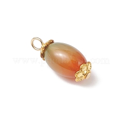 6 подвеска из натурального павлиньего агата (окрашенного и подвергнутого термической обработке).&nbsp;PALLOY-JF04532-03