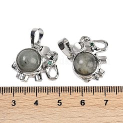 Природные подвески лабрадорита&nbsp;G-I374-A-P13