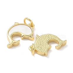 Подвески из латуни из натуральных ракушек&nbsp;KK-L239-029G