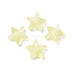 Звездный замок из пластикового шнура из ПВХ для крышки рта&nbsp;LS-KY-D013-02D